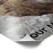 Kodiakbeer Foto Afdruk (Hoek)