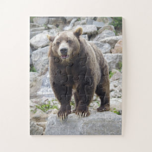 Kodiakbeer Legpuzzel