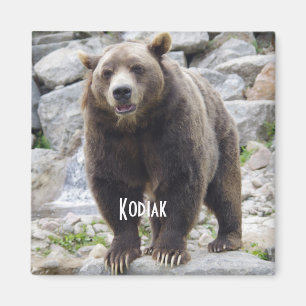 Kodiakbeer magneet