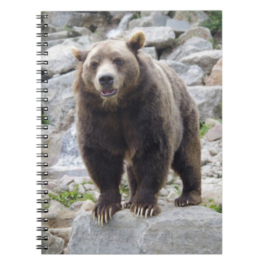 Kodiakbeer Notitieboek (Voorkant)