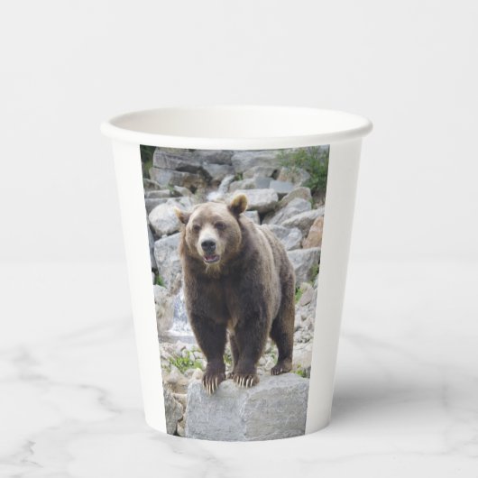 Kodiakbeer Papieren Bekers (Voorkant)