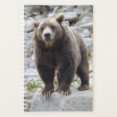 Kodiakbeer Planner (Voorkant)