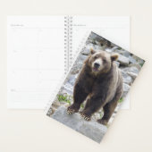 Kodiakbeer Planner (Display)