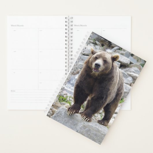 Kodiakbeer Planner (Display)