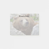 Kodiakbeer Post-it® Notes (Voorkant)