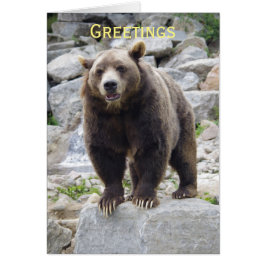 Kodiakbeer staand op een rots