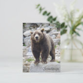 Kodiakbeer staand op een rots briefkaart (Staand voorkant)