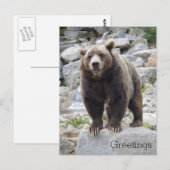 Kodiakbeer staand op een rots briefkaart (Voorkant / Achterkant)