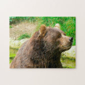 Kodiakberen. Legpuzzel (Horizontaal)