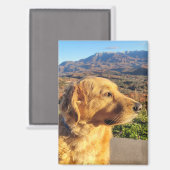 Kody Magnet (Voorkant / Achterkant)