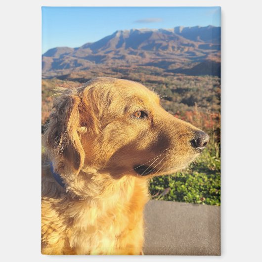 Kody Magnet (Voorkant)