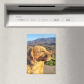 Kody Magnet (Insitu (Vaatwasser))