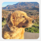 Kody Sticker (Voorkant)