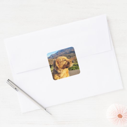 Kody Sticker (Envelop)