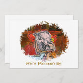 KOE (Voorkant / Achterkant)