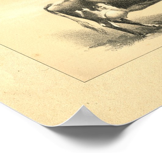  Koe 1888 Afdrukken Poster (Hoek)