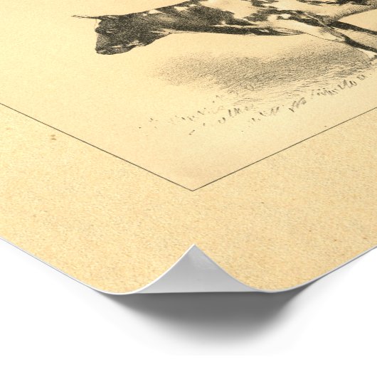 Koe 1888 Afdrukken Poster (Hoek)