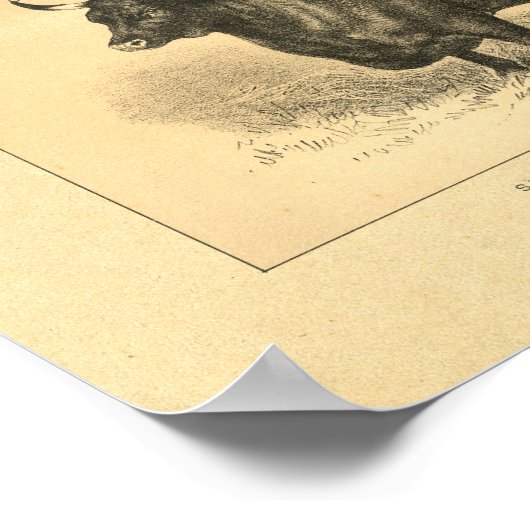  Koe 1888 Afdrukken Poster (Hoek)