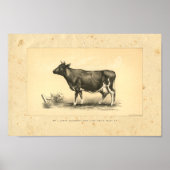  Koe 1888 Afdrukken Poster (Voorkant)