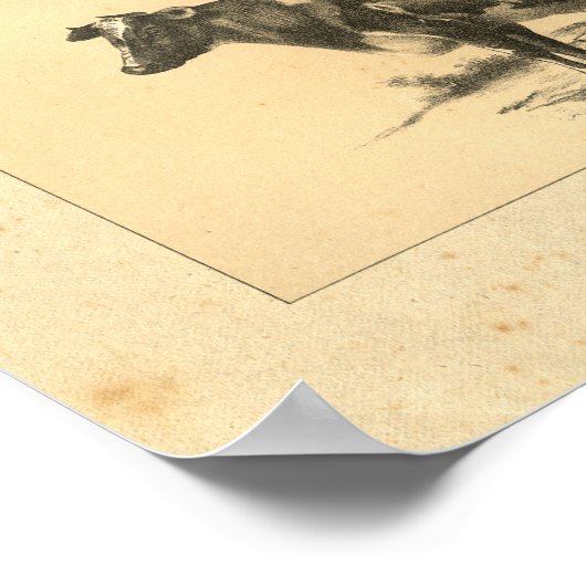 Koe 1888 Afdrukken Poster (Hoek)