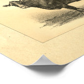  Koe 1888 Afdrukken Poster (Hoek)