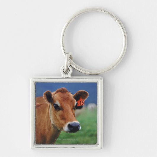 koe 2 sleutelhanger (Voorkant)