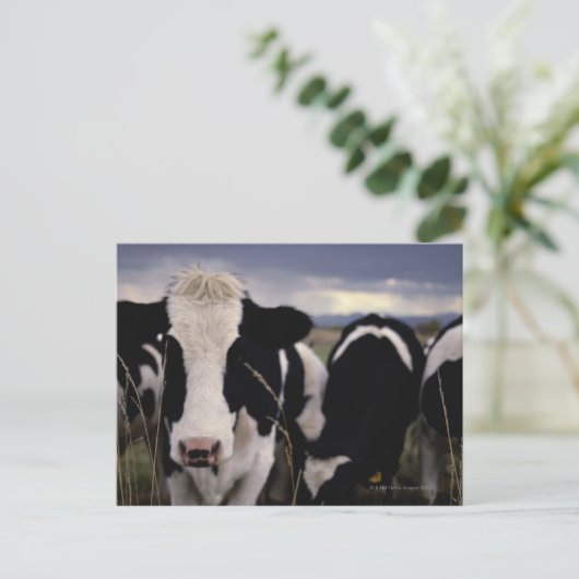 KOE 3 BRIEFKAART (Staand voorkant)