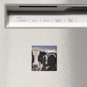 KOE 3 MAGNEET (Insitu (Vaatwasser))