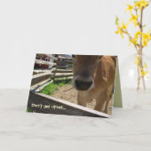 Koe 50ste verjaardag Kaart (Gele Bloem)