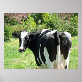 Koe 52 kijkt naar You Photo Poster Art