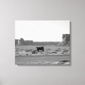 Koe aan de zijkant van het wegmonument 16x20 canvas afdruk (Voorkant)