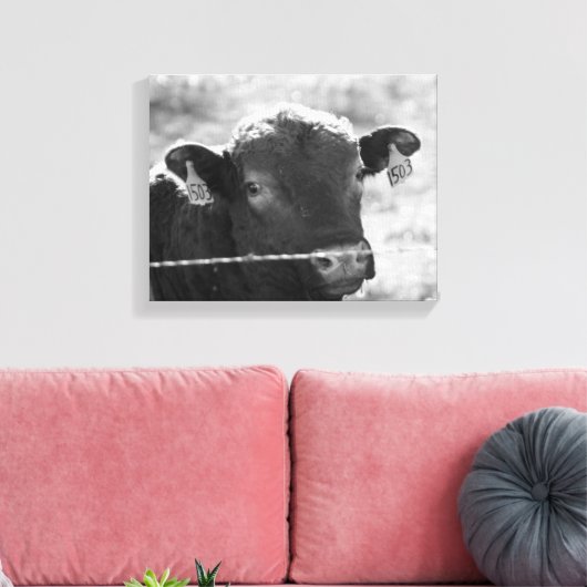 Koe achter Barbed Wire Black en White 11x14 Canvas Afdruk (Insitu (Woonkamer))