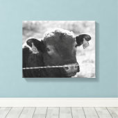 Koe achter Barbed Wire Black en White 11x14 Canvas Afdruk (Insitu (Houten vloer))