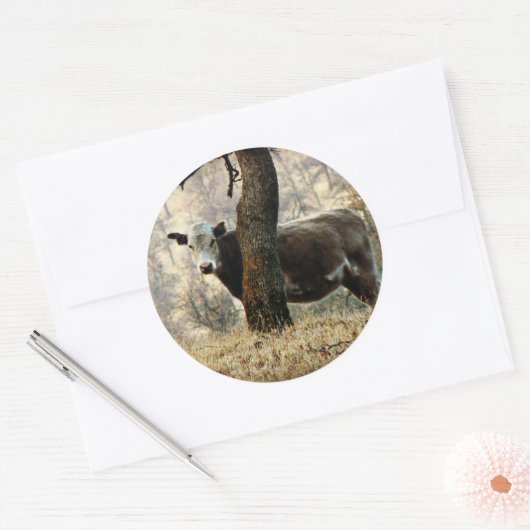 Koe achter Tree Ronde Sticker (Envelop)