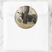 Koe achter Tree Ronde Sticker (Tas)