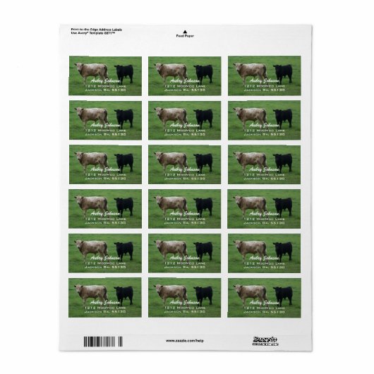 Koe Adresetiketten Etiket (Full Sheet)