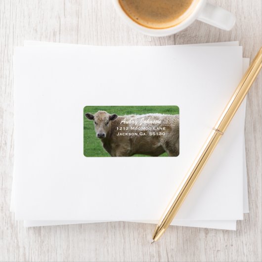 Koe Adresetiketten Etiket (Insitu)