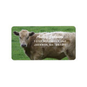 Koe Adresetiketten Etiket (Voorkant)