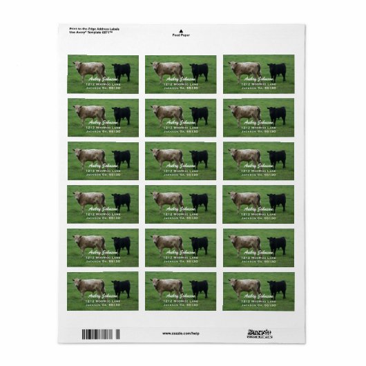 Koe Adresetiketten Etiket (Full Sheet)