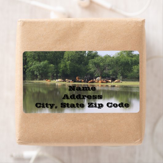 Koe Adresetiketten Etiket (Insitu)