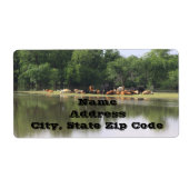 Koe Adresetiketten Etiket (Voorkant)