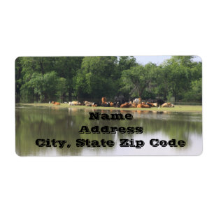 Koe Adresetiketten Etiket