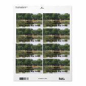 Koe Adresetiketten Etiket (Full Sheet)