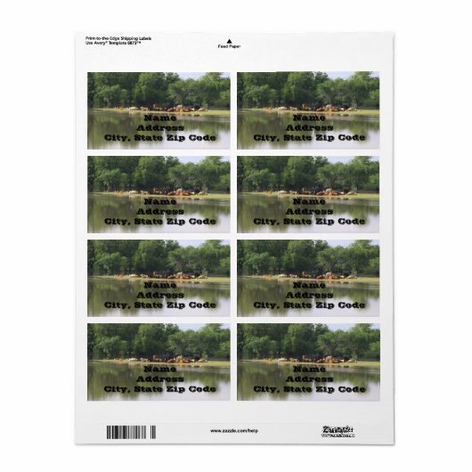 Koe Adresetiketten Etiket (Full Sheet)