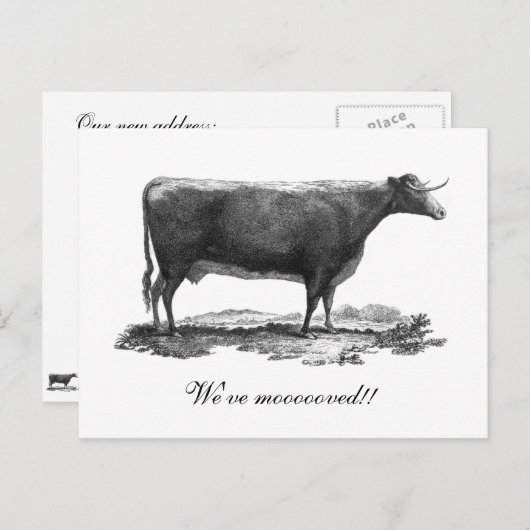  koe adreswijziging aankondigingskaart (Voorkant / Achterkant)