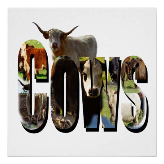 Koe Afbeelding Logo met Koeien, Perfect Poster (Voorkant)