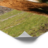 Koe afdrukken poster (Hoek)