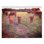 Koe agenda kalender (Hoes)