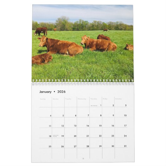 Koe agenda kalender (Jan 2026)