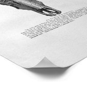 Koe Anatomie  afdrukken Poster (Hoek)